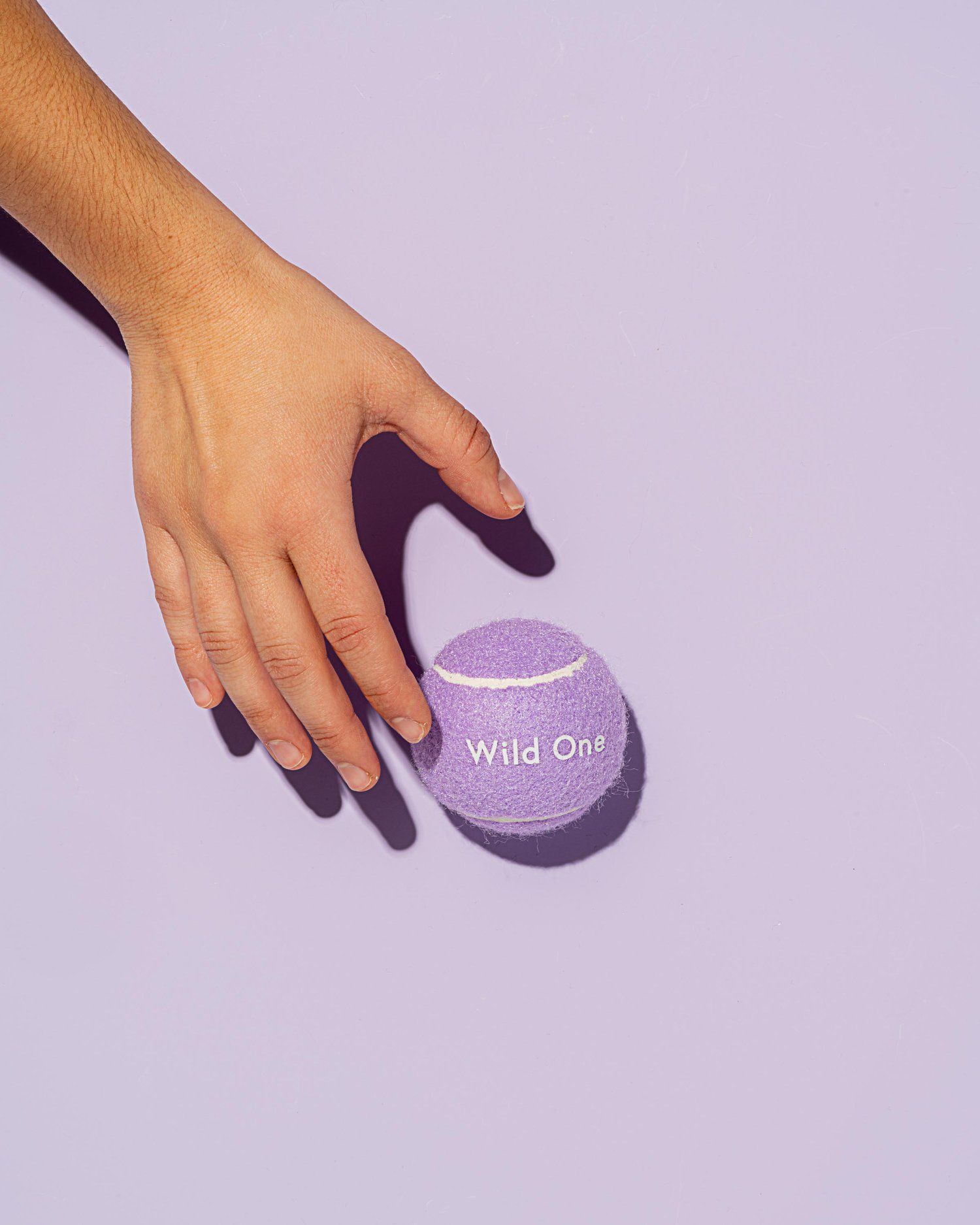 Wild One 19: Backdrops