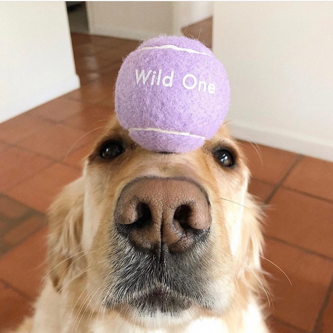 Wild One 2: Lifestyle Secondary Images