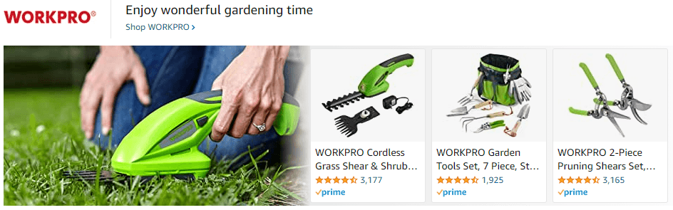 WorkPro: Ad - Sponsored Brand