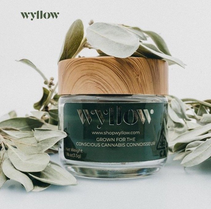 Wyllow 10: Lifestyle Secondary Images