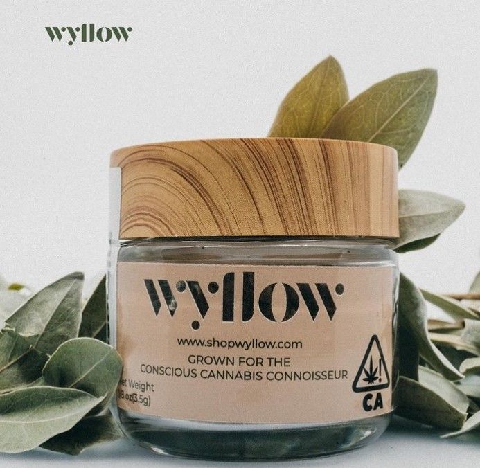 Wyllow 11: Lifestyle Secondary Images