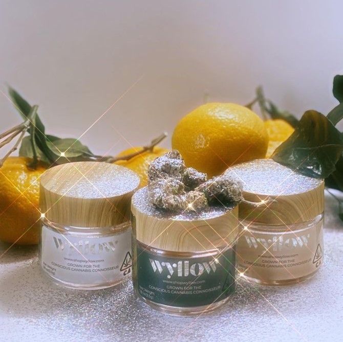 Wyllow 4: Lifestyle Secondary Images