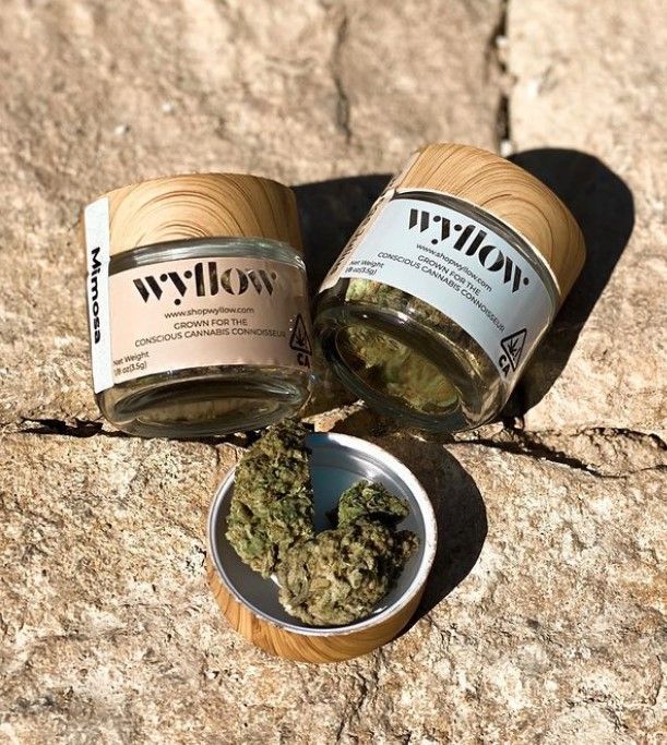 Wyllow 7: Lifestyle Secondary Images