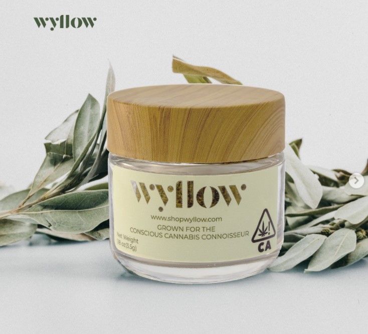Wyllow 9: Lifestyle Secondary Images