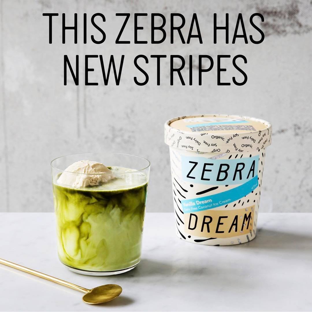 Zebra Dream 10: Infographics
