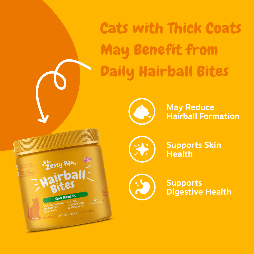 Zesty Paws INF PET 10: Infographics