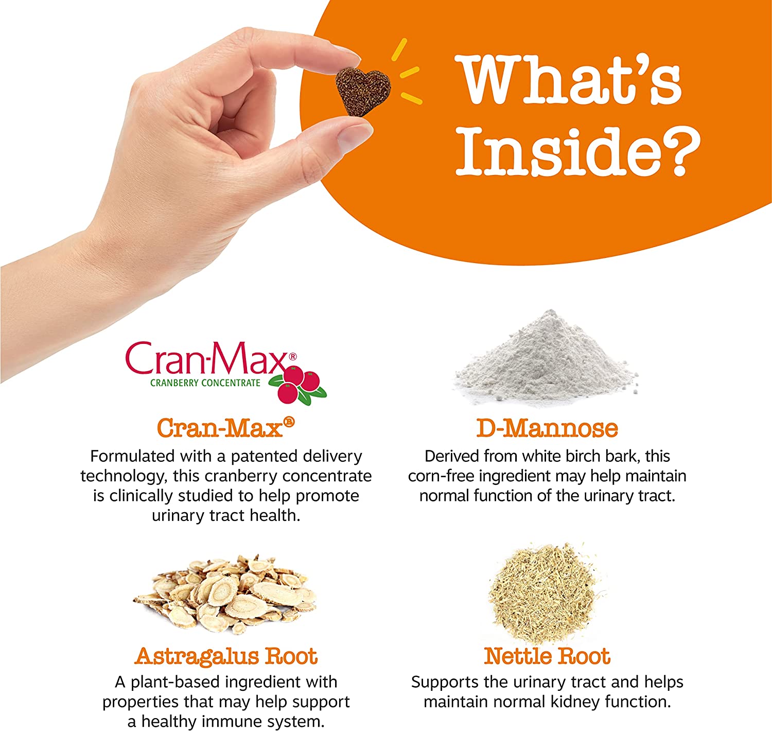 Zesty Paws INF PET 2: Infographics