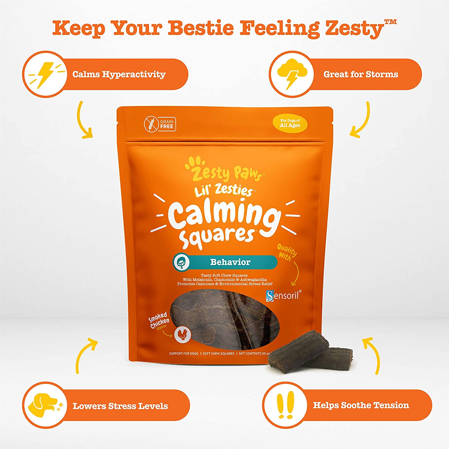Zesty Paws INF PET 5: Infographics