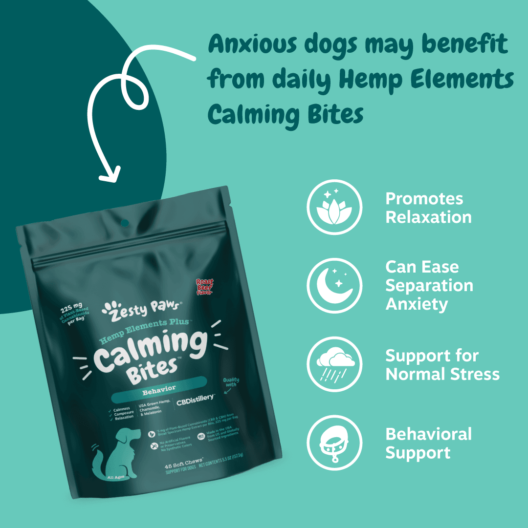 Zesty Paws INF PET 7: Infographics