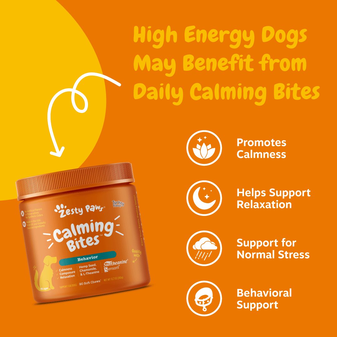 Zesty Paws INF PET 9: Infographics
