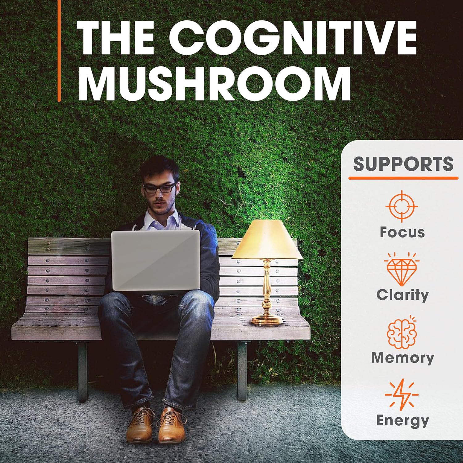 Amazon.com: Genius Lions Mane Supplement Capsules: Infographics