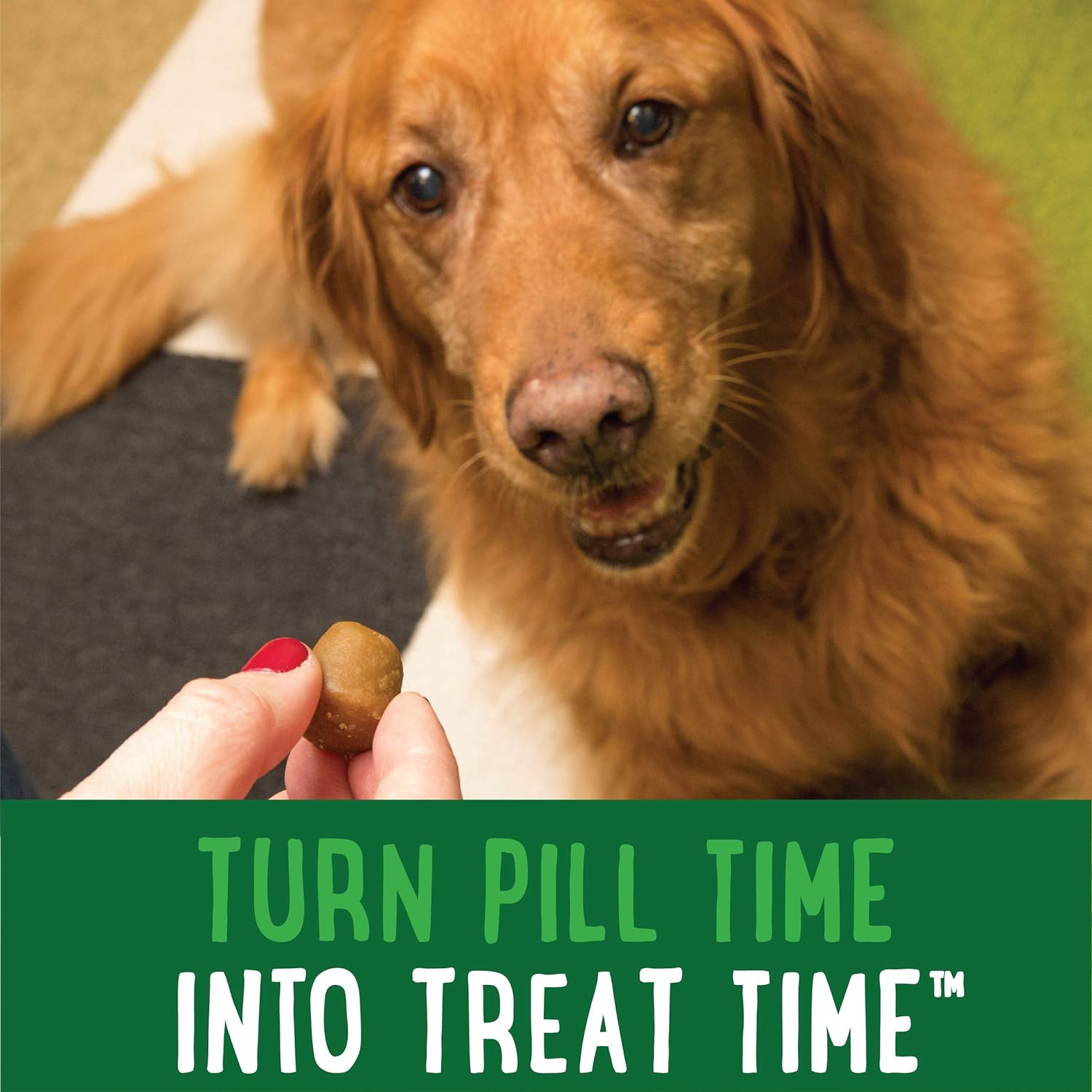 Amazon.com : Greenies Pill Pockets for Dogs Capsule Size Natural Soft Dog Treats with…: Infographics