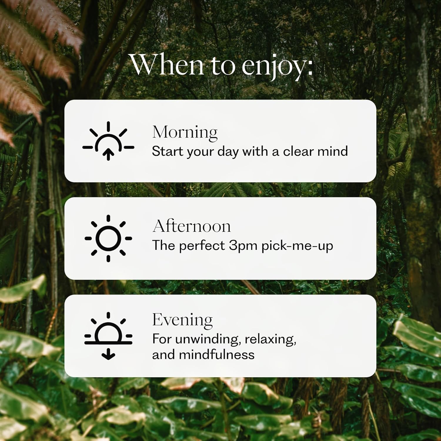 Amazon.com: BREZ Lions Mane Functional Mushroom Supplement Drink: Infographics