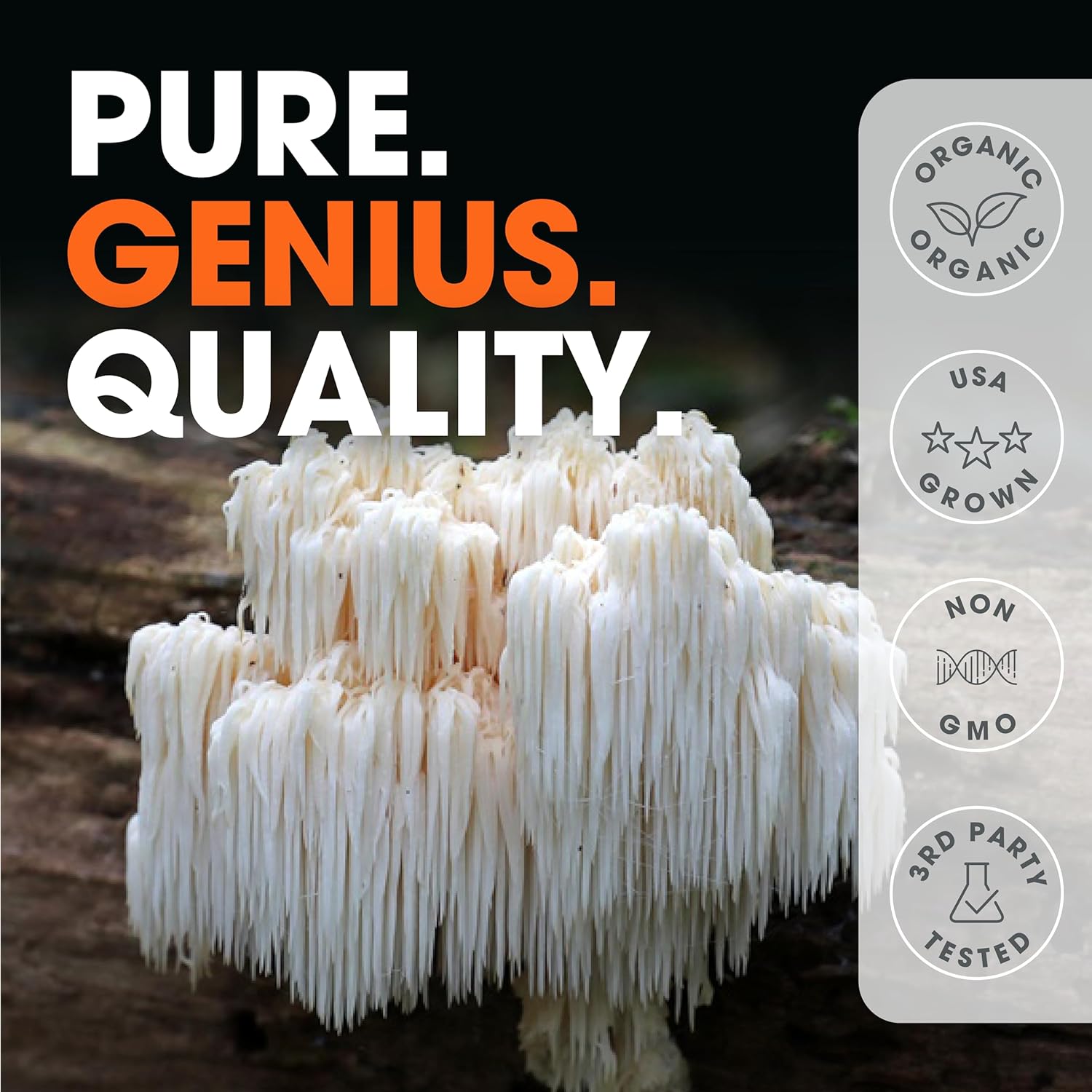Amazon.com: Genius Lions Mane Supplement Capsules: Infographics