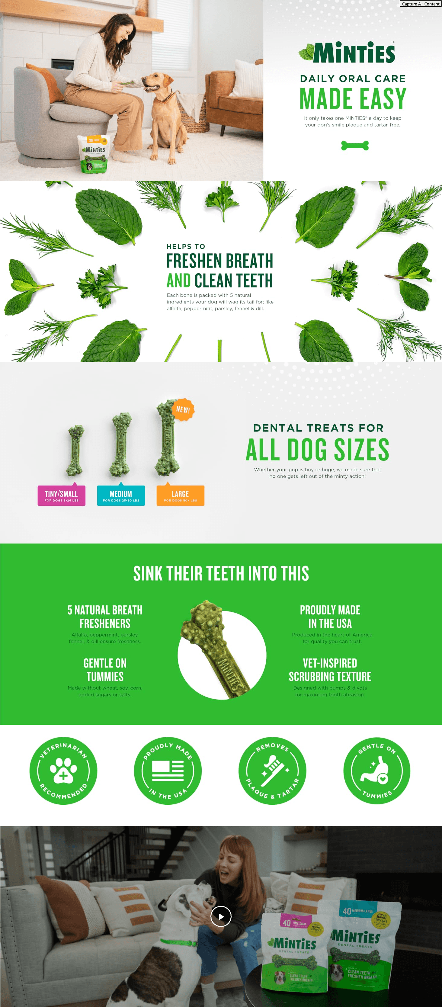 Amazon.com : Minties Dental Chews for Dogs: A+ Premium