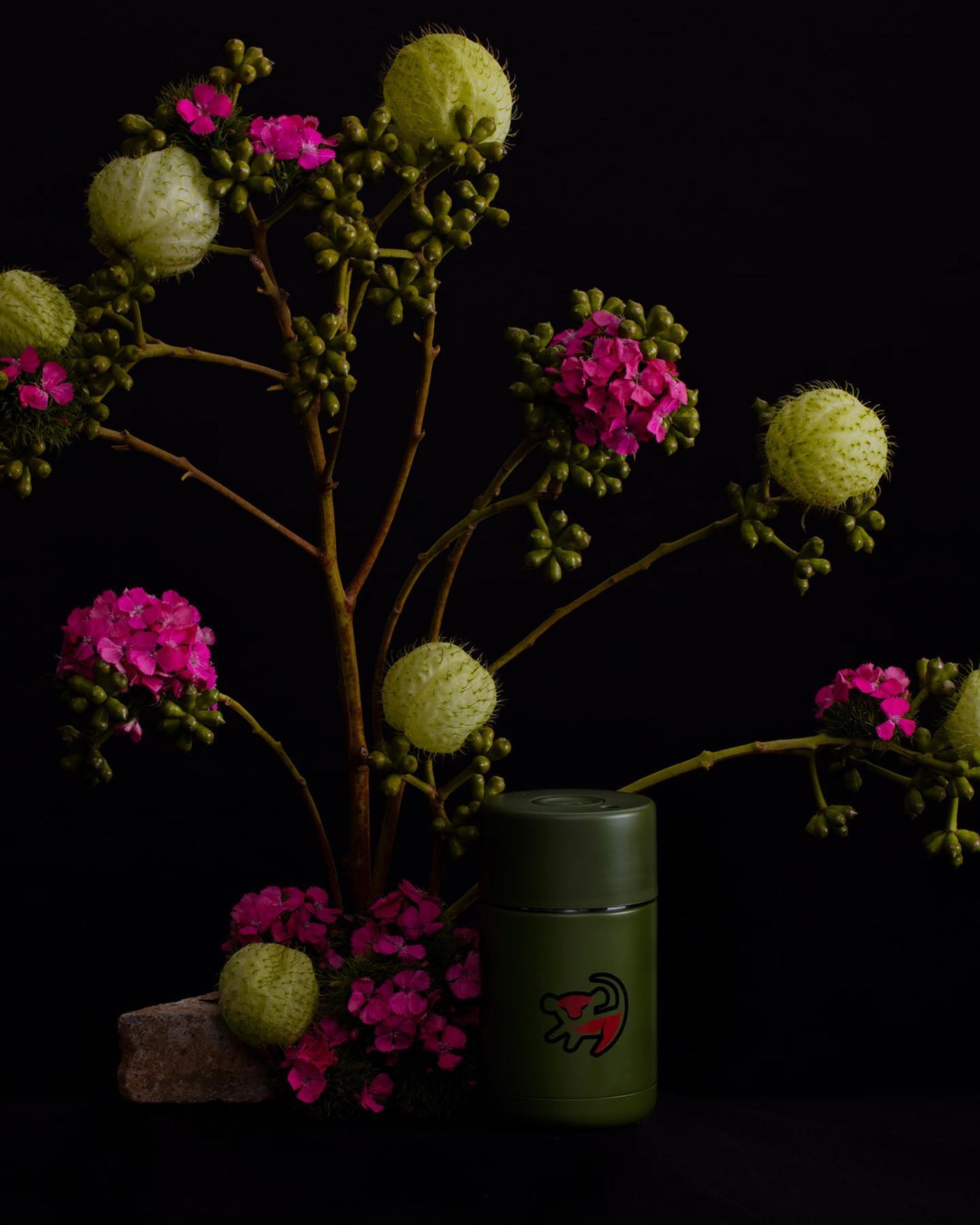 frank green 43: Backdrops