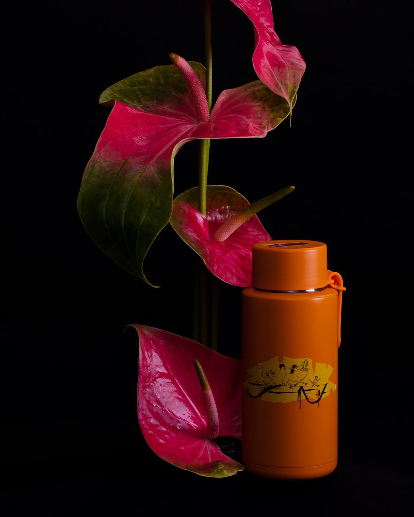 frank green 45: Backdrops