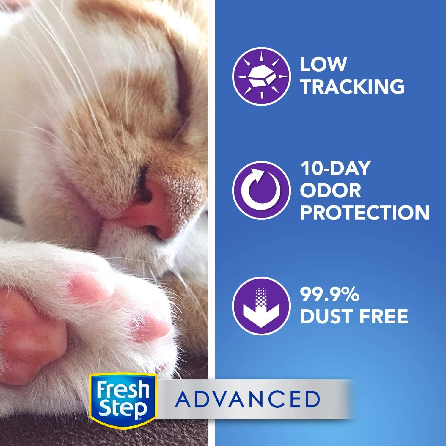 fresh step 1: Infographics