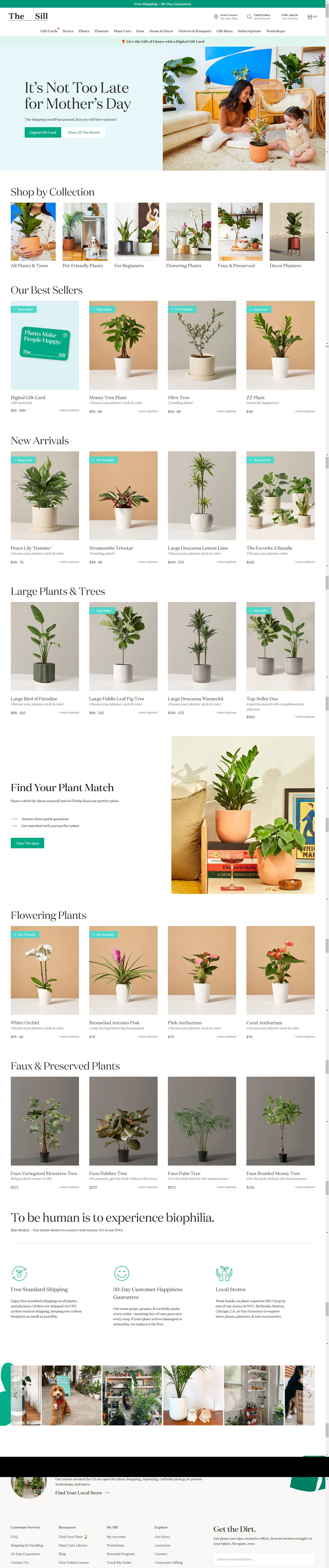 thesill.com: Amazon listing image