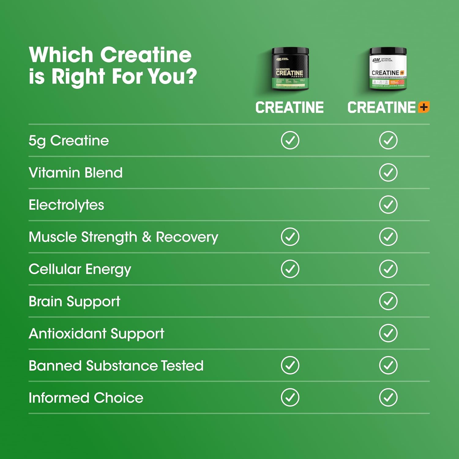 Amazon.com: Optimum Nutrition Creatine Monohydrate Plus Powder: Infographics