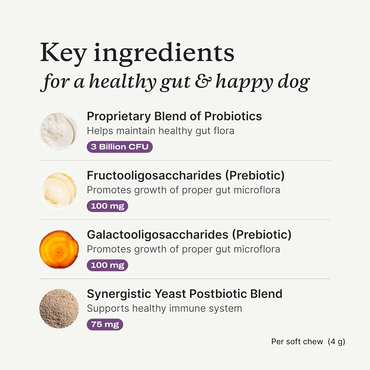 Highlights the key ingredients in the product that promote a healthy gut and immune system for dogs.