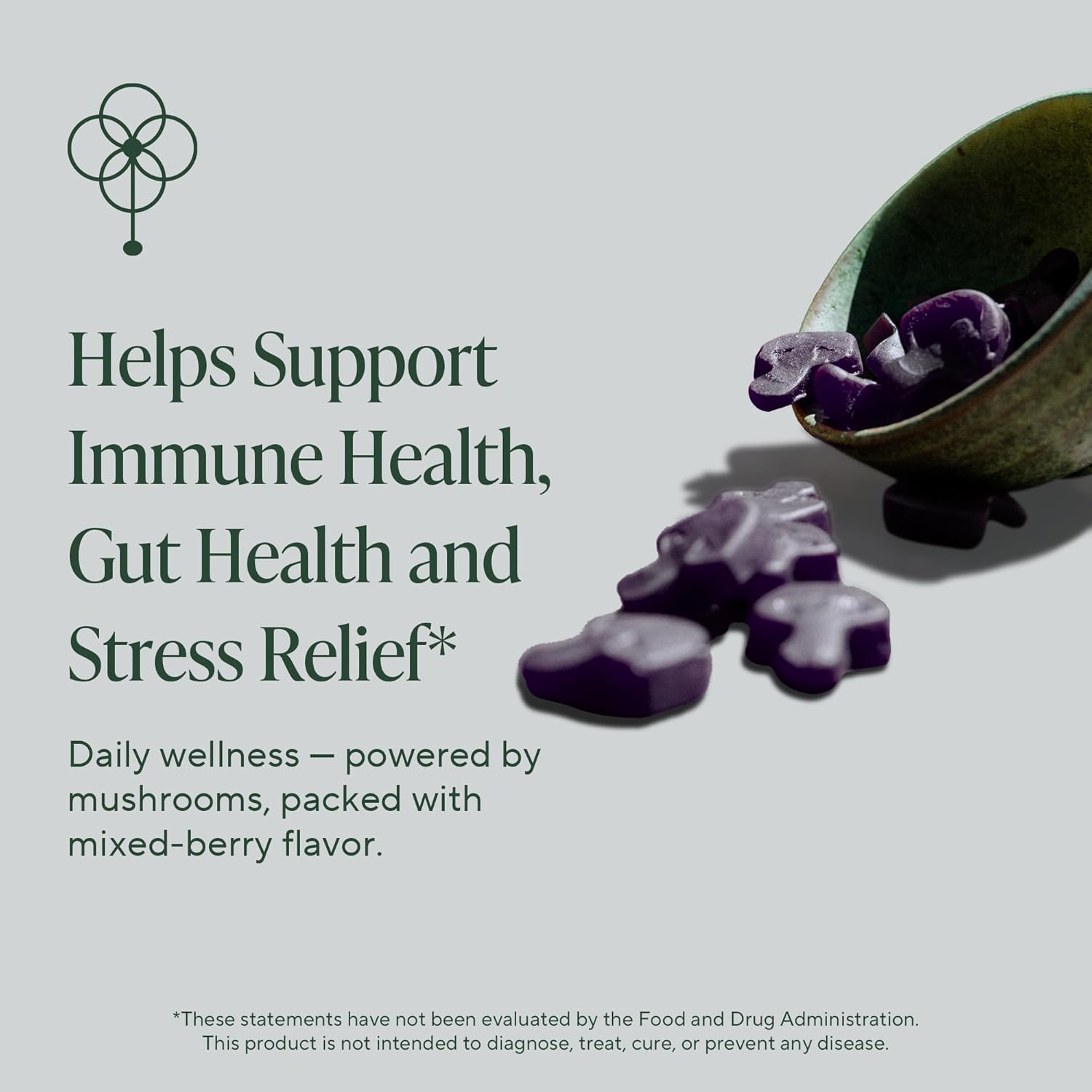 Highlights the product's benefits of supporting immune health, gut health, and stress relief.