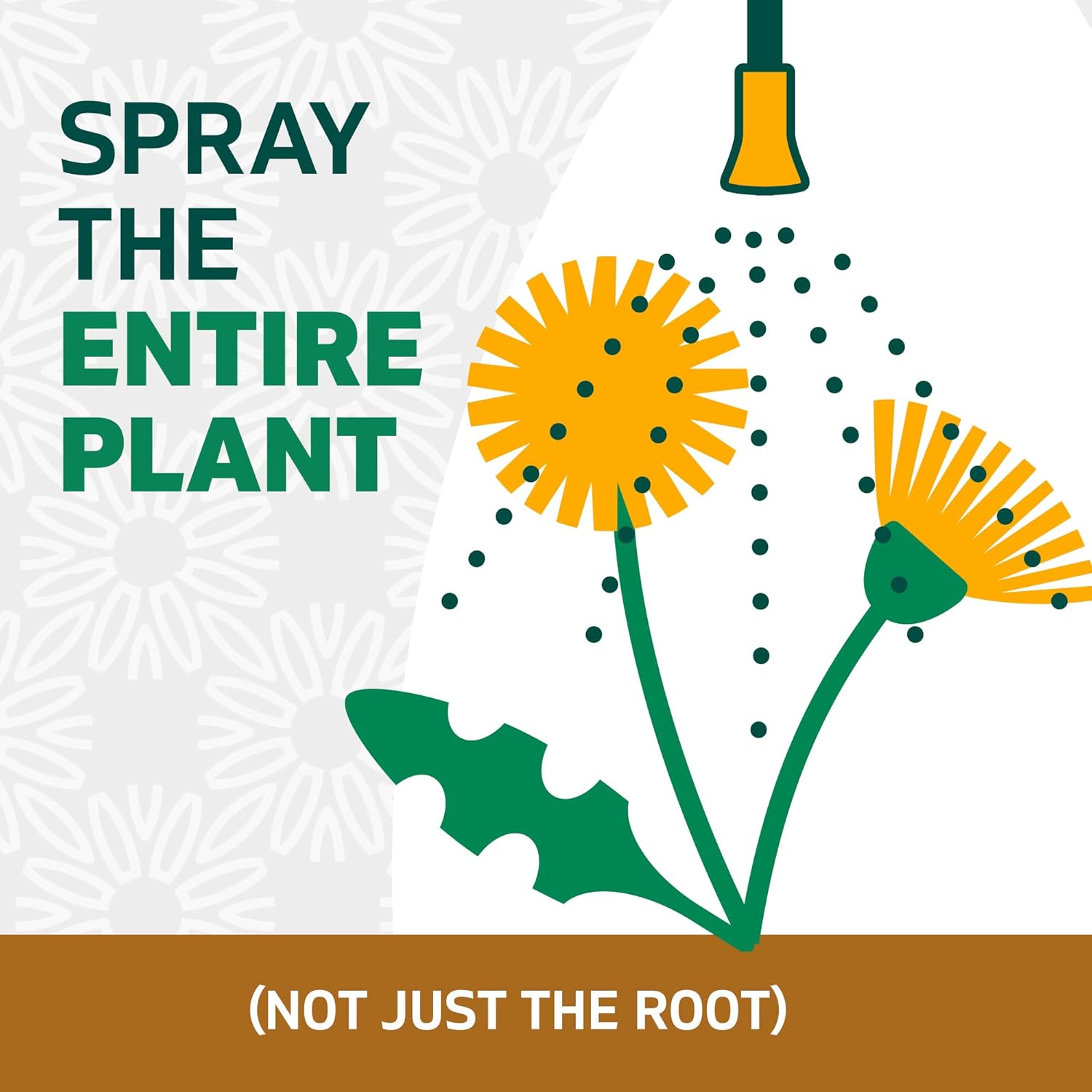 Amazon.com : Spruce Weed Killer Spray: Infographics