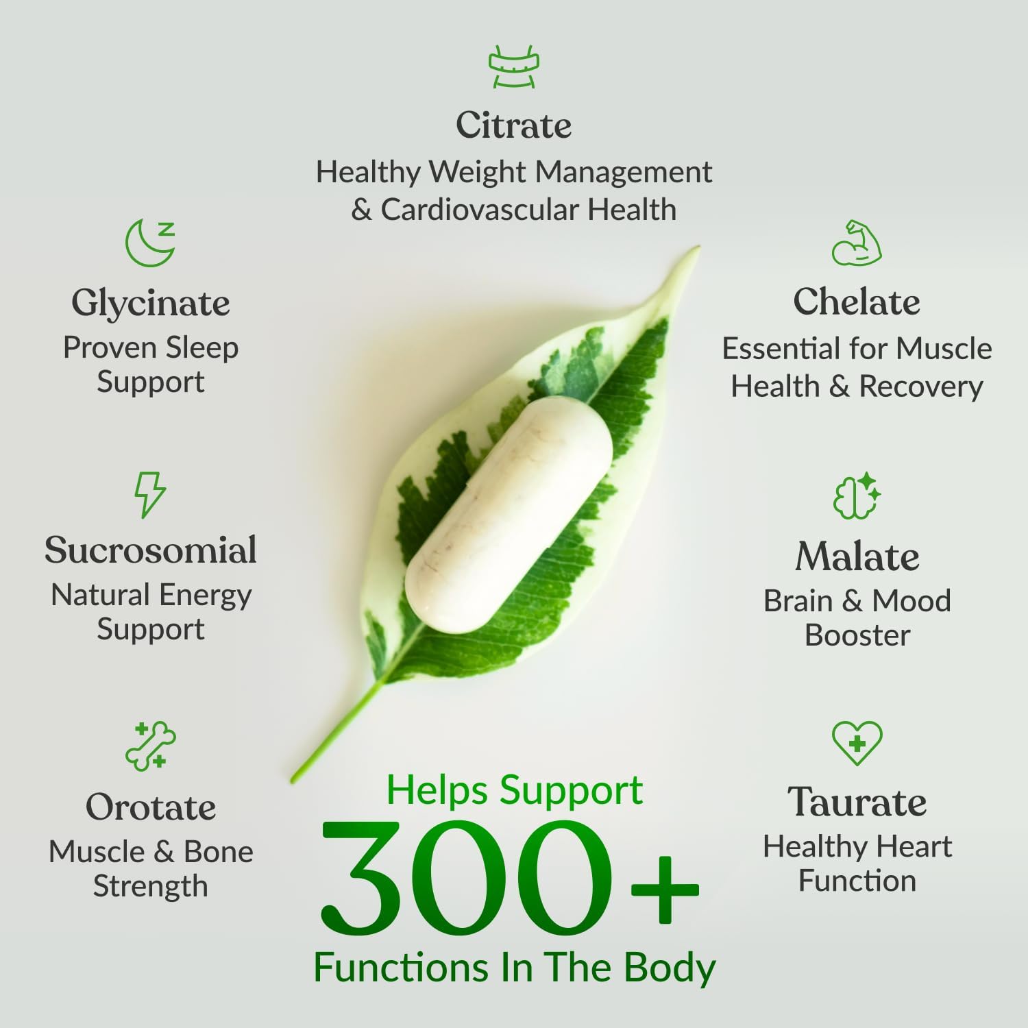 Showcases multiple health benefits and key ingredients of a supplement product to highlight its comprehensive support for various bodily functions.