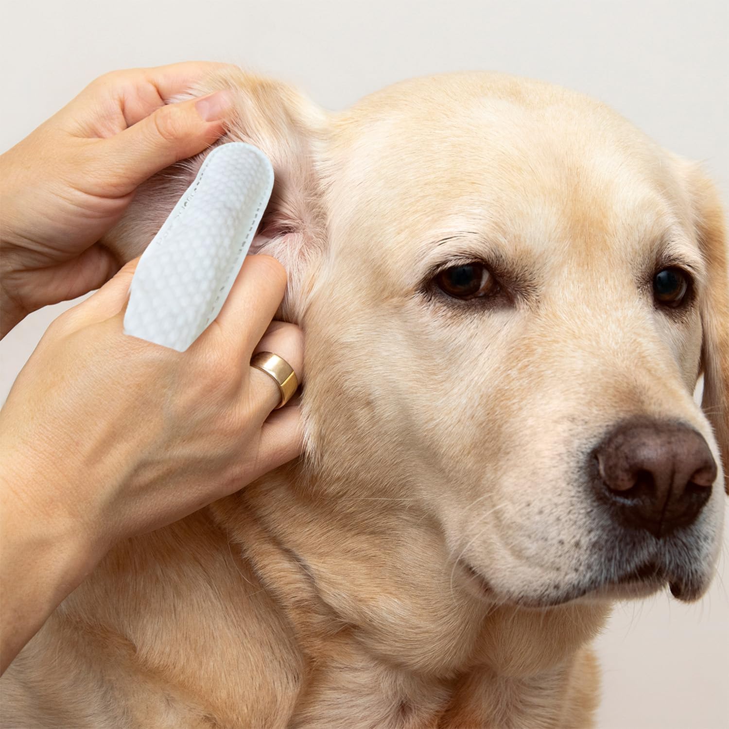 Amazon.com : Paw Science Dog Ear Cleaner Wipes: Infographics