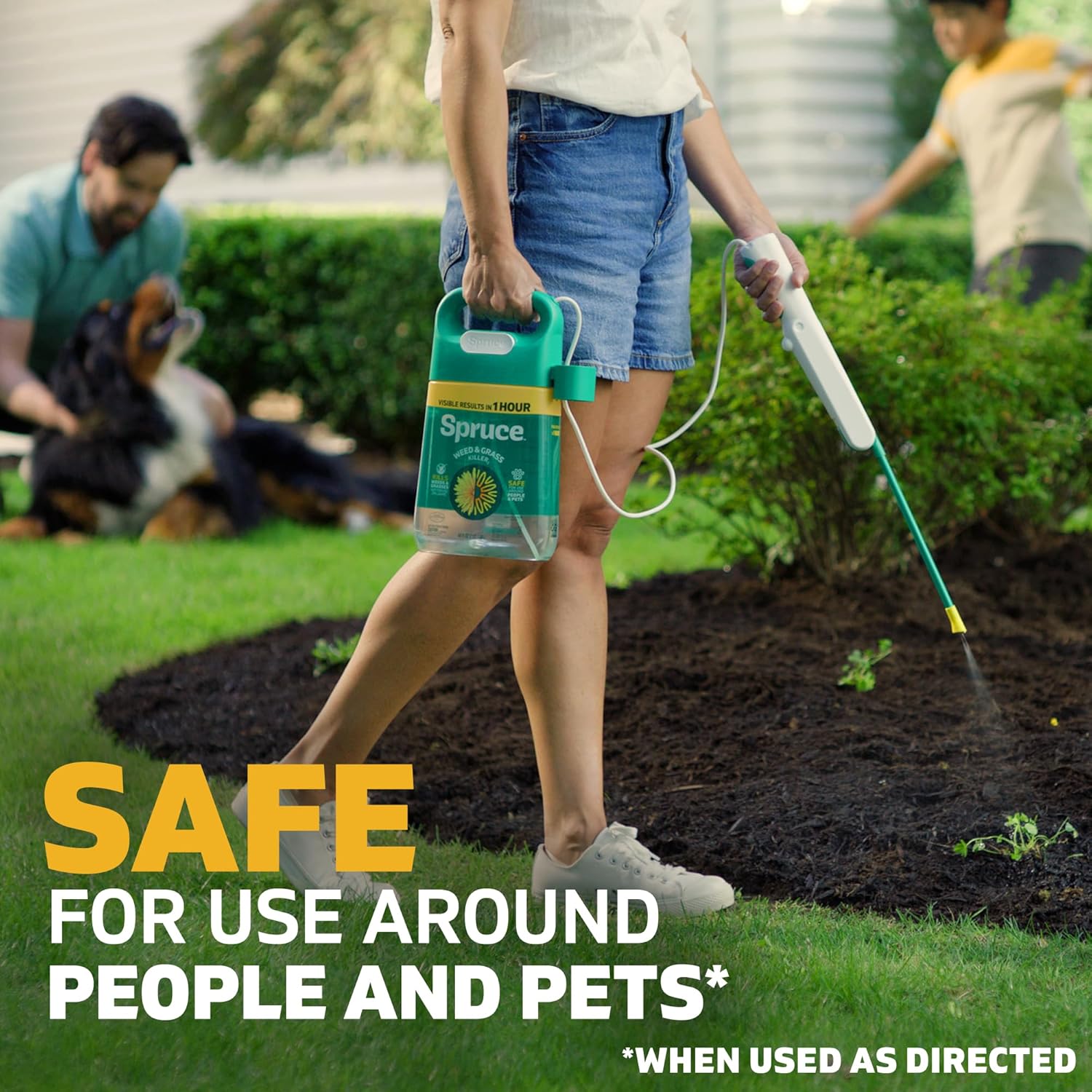 Amazon.com : Spruce Weed Killer Spray: Infographics