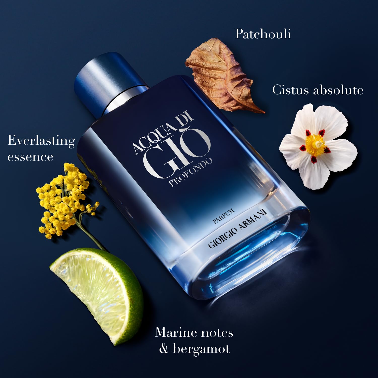 Amazon.com: Armani Beauty: Infographics