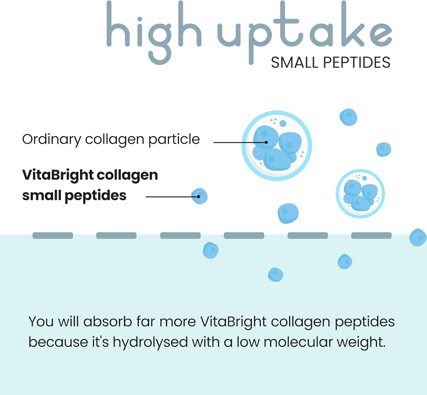 Bovine Collagen Powder 500g: Infographics