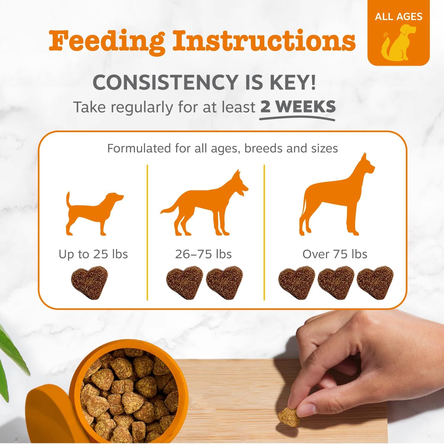 Amazon.com: Zesty Paws Vet Strength Probiotics for Dogs: Infographics
