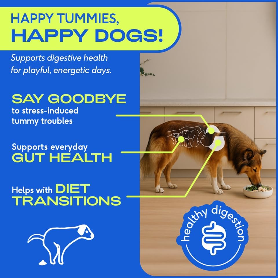 Highlights multiple benefits of the product for dogs' digestive health, including stress reduction and support during diet changes.