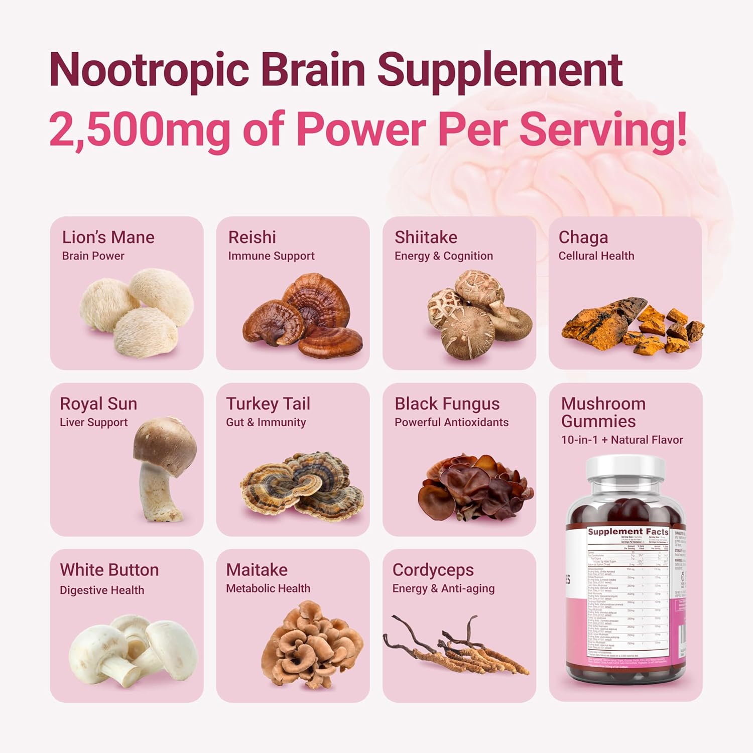 Shows the different ingredients and components included in the nootropic brain supplement product.