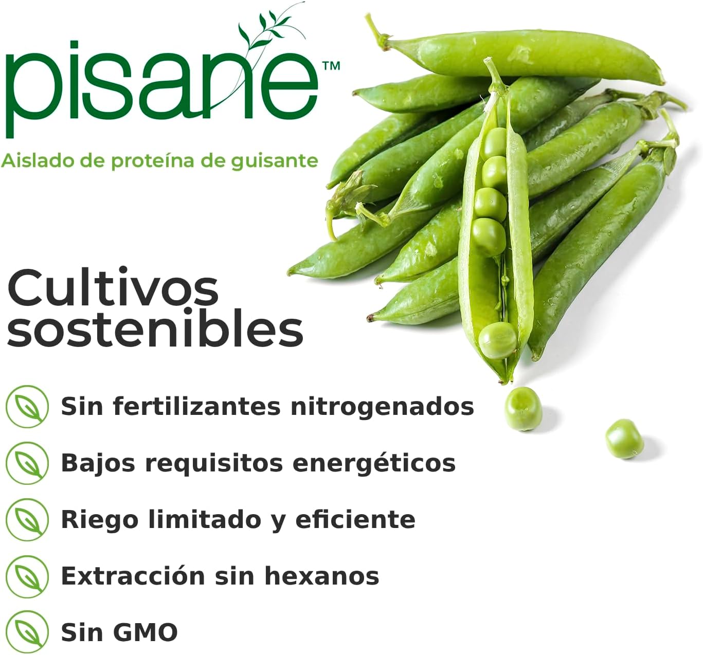 Weider Vegan Protein (750g) Sabor Vainilla. Proteína Vegana 23g/dosis Aislada Guisante…: Infographics