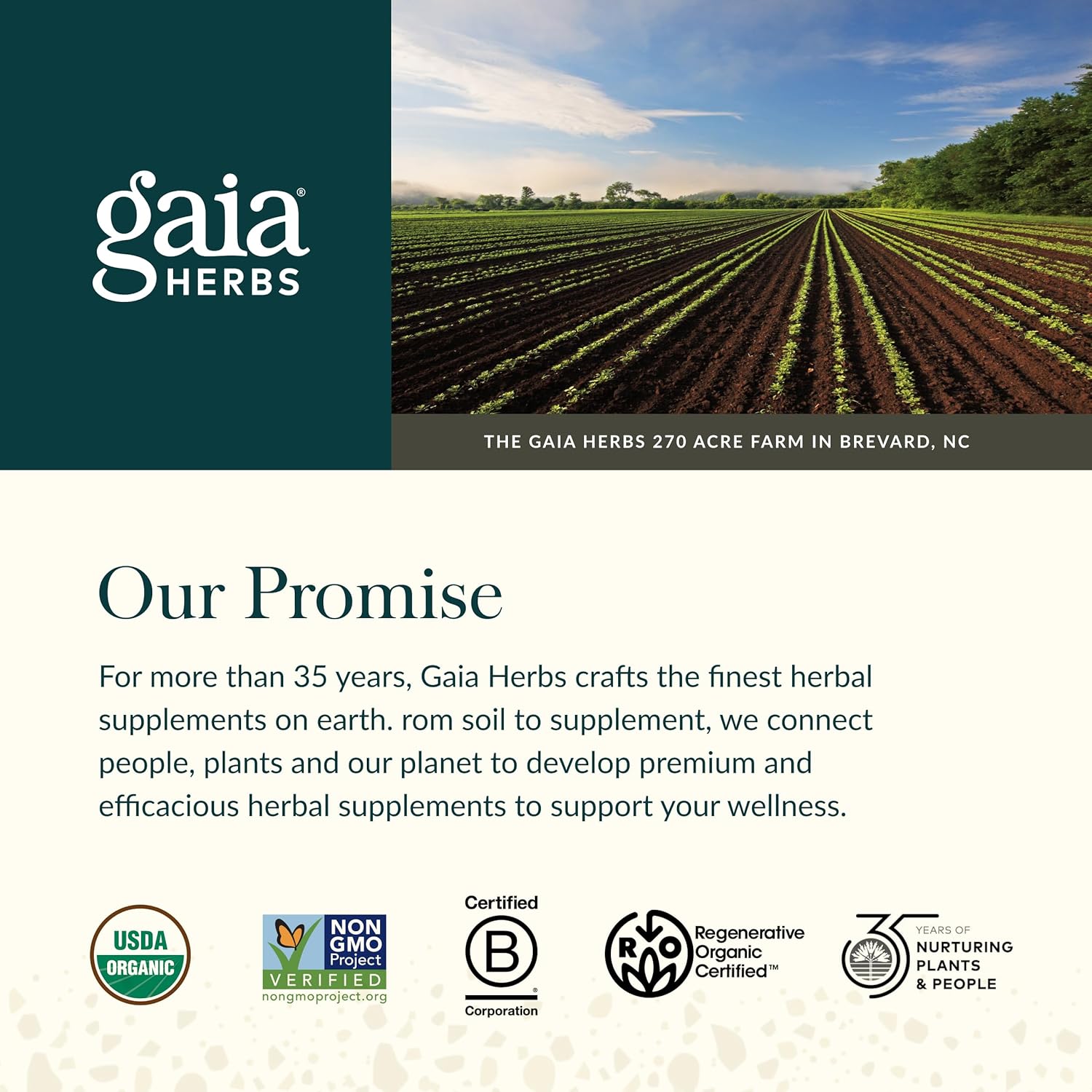 Amazon.com: Gaia Herbs Lion's Mane Mushroom: Brand Secondary Images