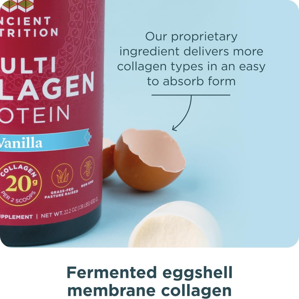 Amazon.com: Collagen Powder Protein by Ancient Nutrition: Infographics