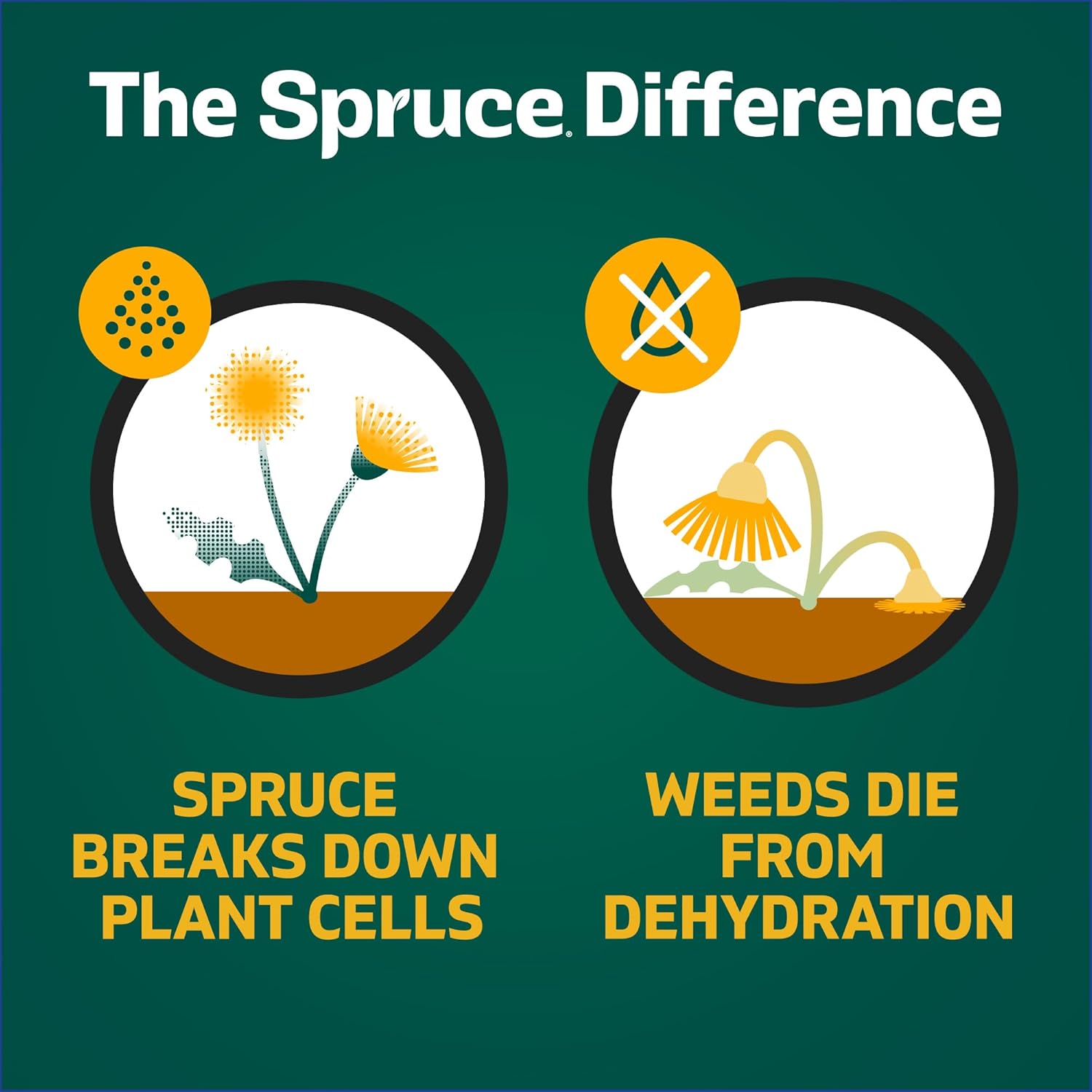 Amazon.com : Spruce Weed Killer Spray: Infographics