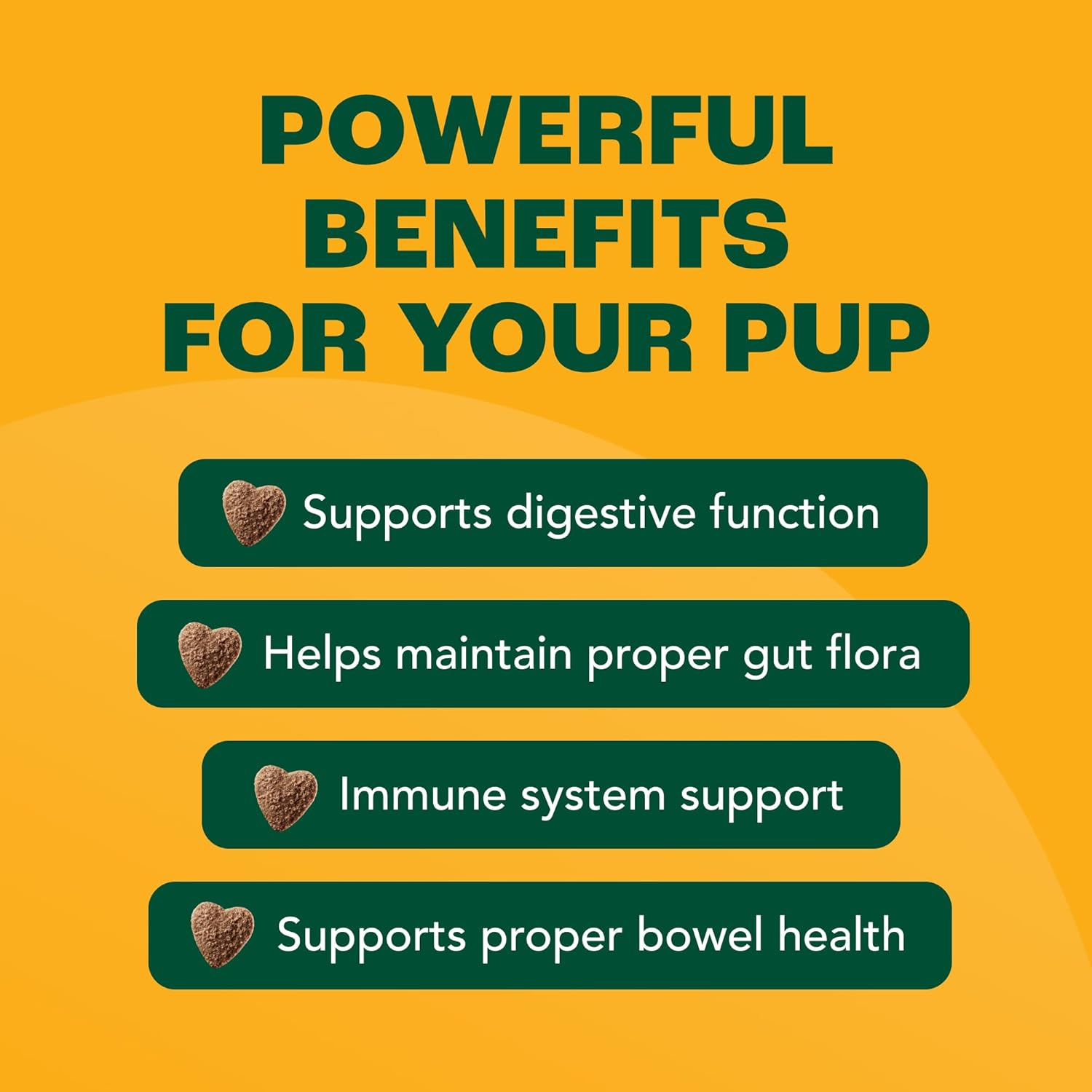 Highlights multiple health benefits of the product for dogs, focusing on digestive and immune system support.