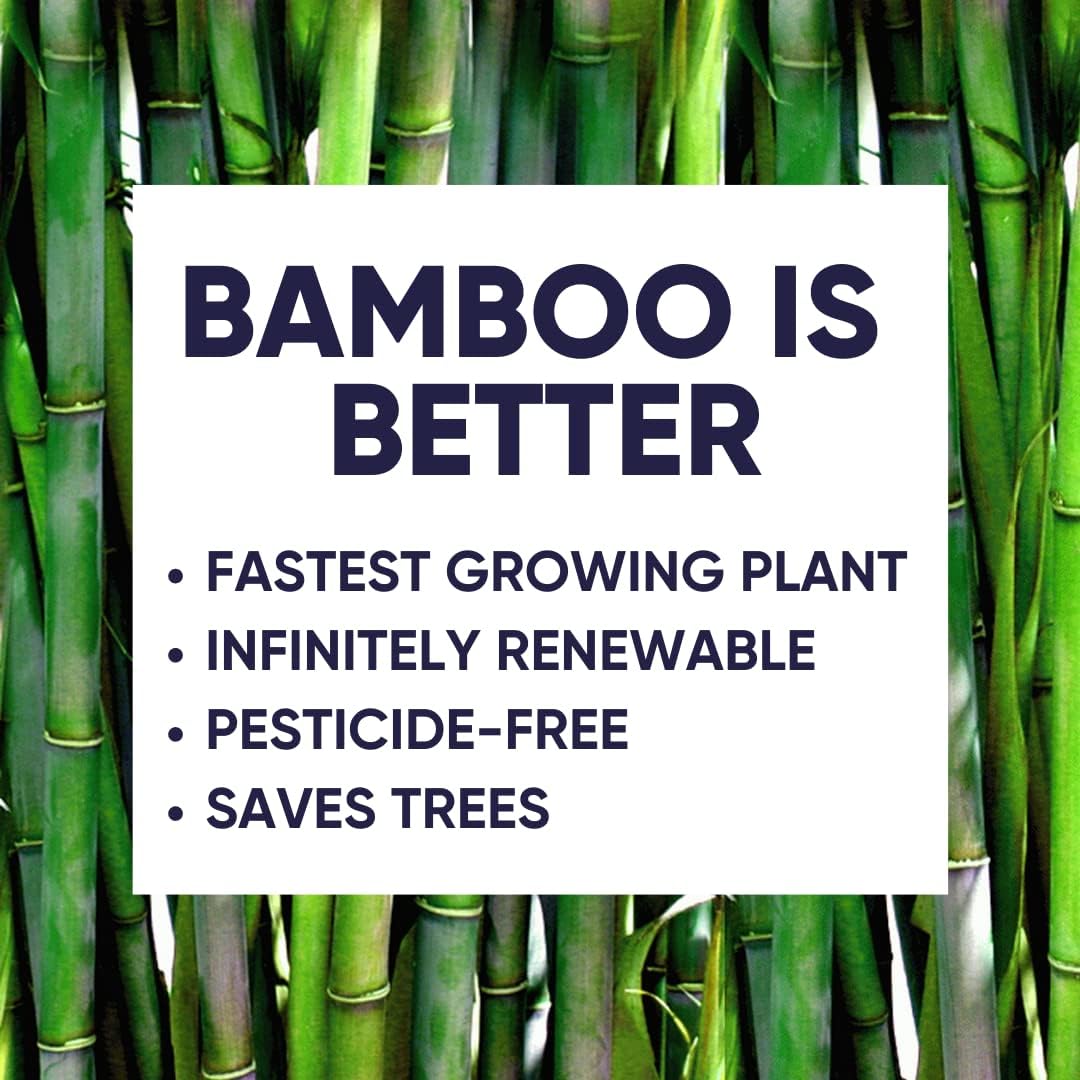 Bamboo Facial Tissues: Infographics