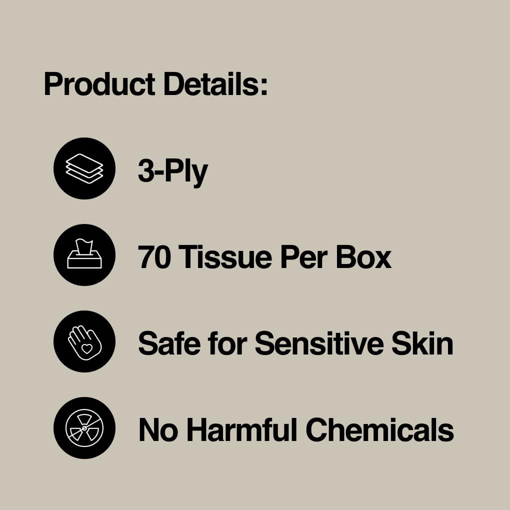 Bamboo Facial Tissues: Infographics