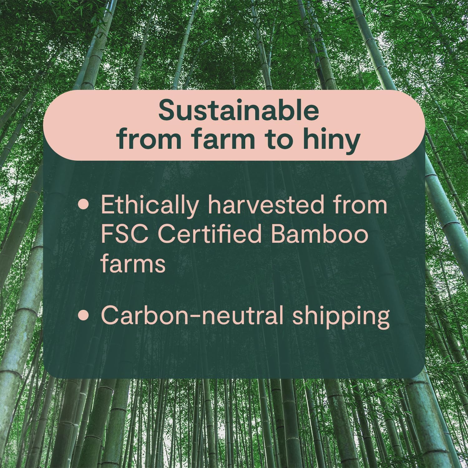 ecoHiny Premium & Soft Bamboo Toilet Paper: Infographics