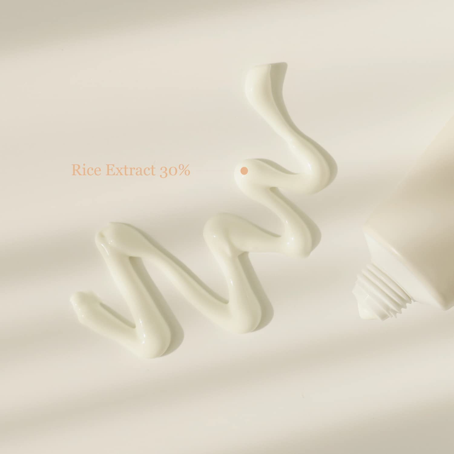 Beauty of Joseon Rice Probiotics Sunscreen: Single Feature / Benefit Secondary Images