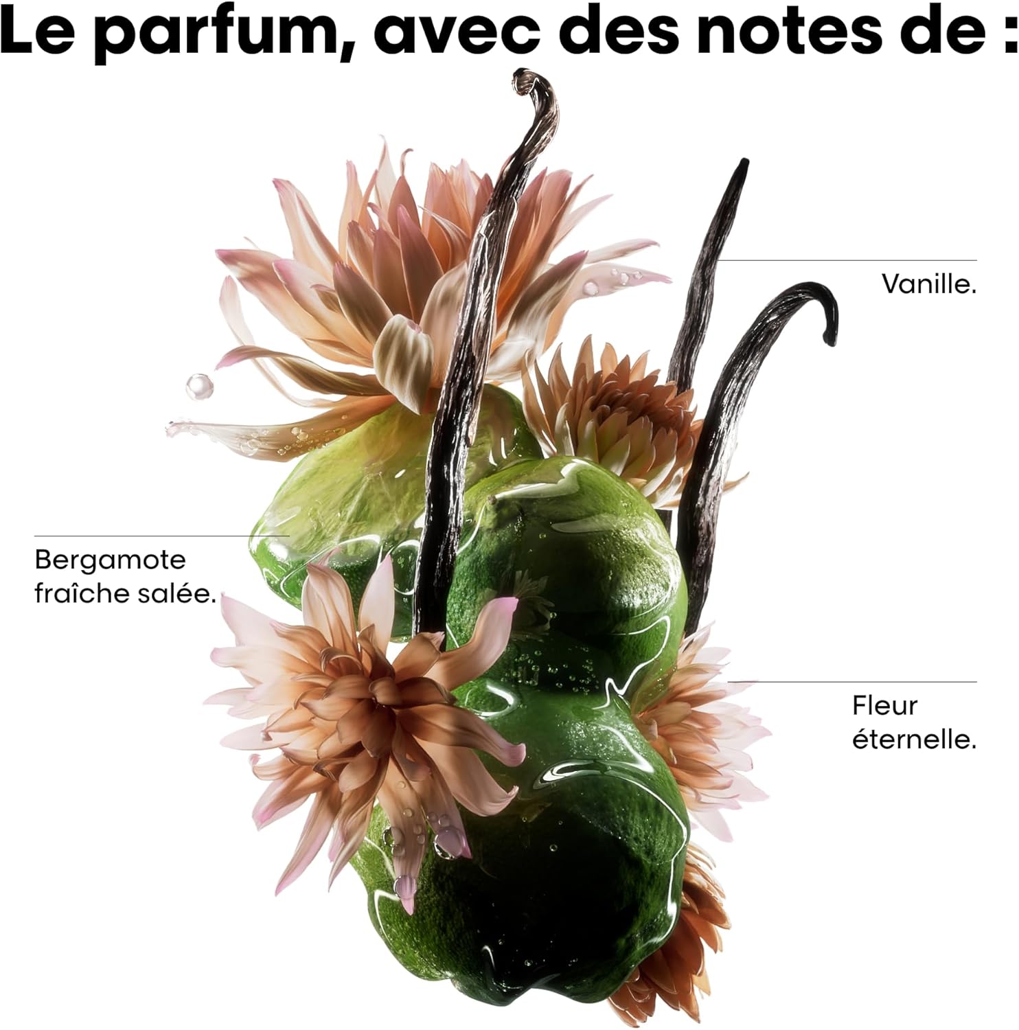 L’Oréal Professionnel: Single Feature / Benefit Secondary Images