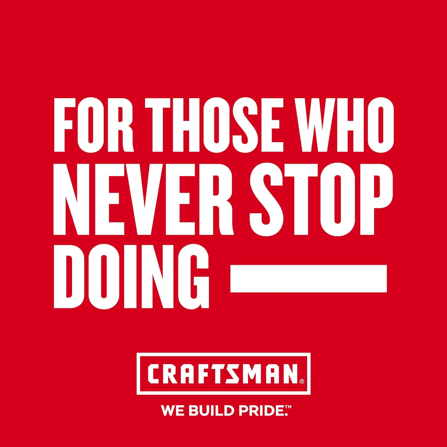 CRAFTSMAN Pliers: Brand Secondary Images