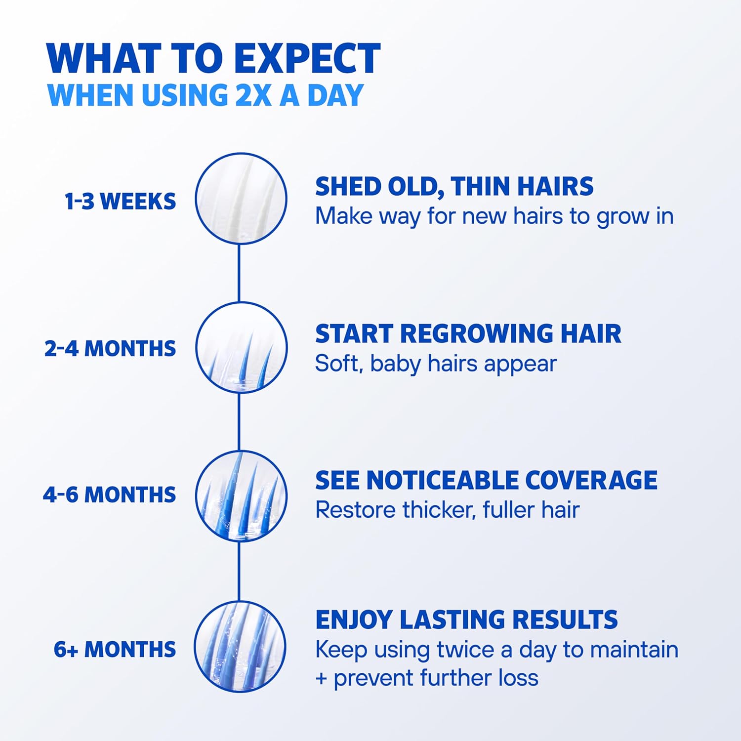 Explains the expected timeline and stages of hair regrowth when using the product twice a day, helping customers understand what results to expect and when.