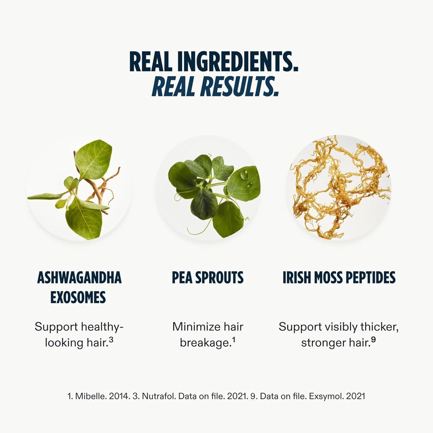 Highlights the key natural ingredients and their respective benefits for hair health, minimizing breakage, and promoting thicker, stronger hair.
