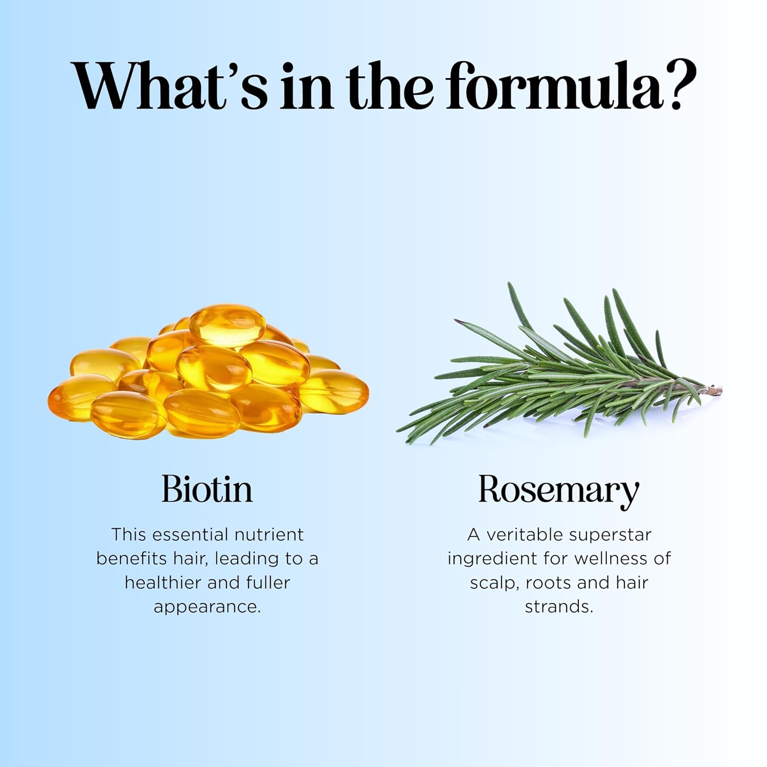 Highlights the key ingredients biotin and rosemary, explaining their benefits for hair health and scalp wellness.