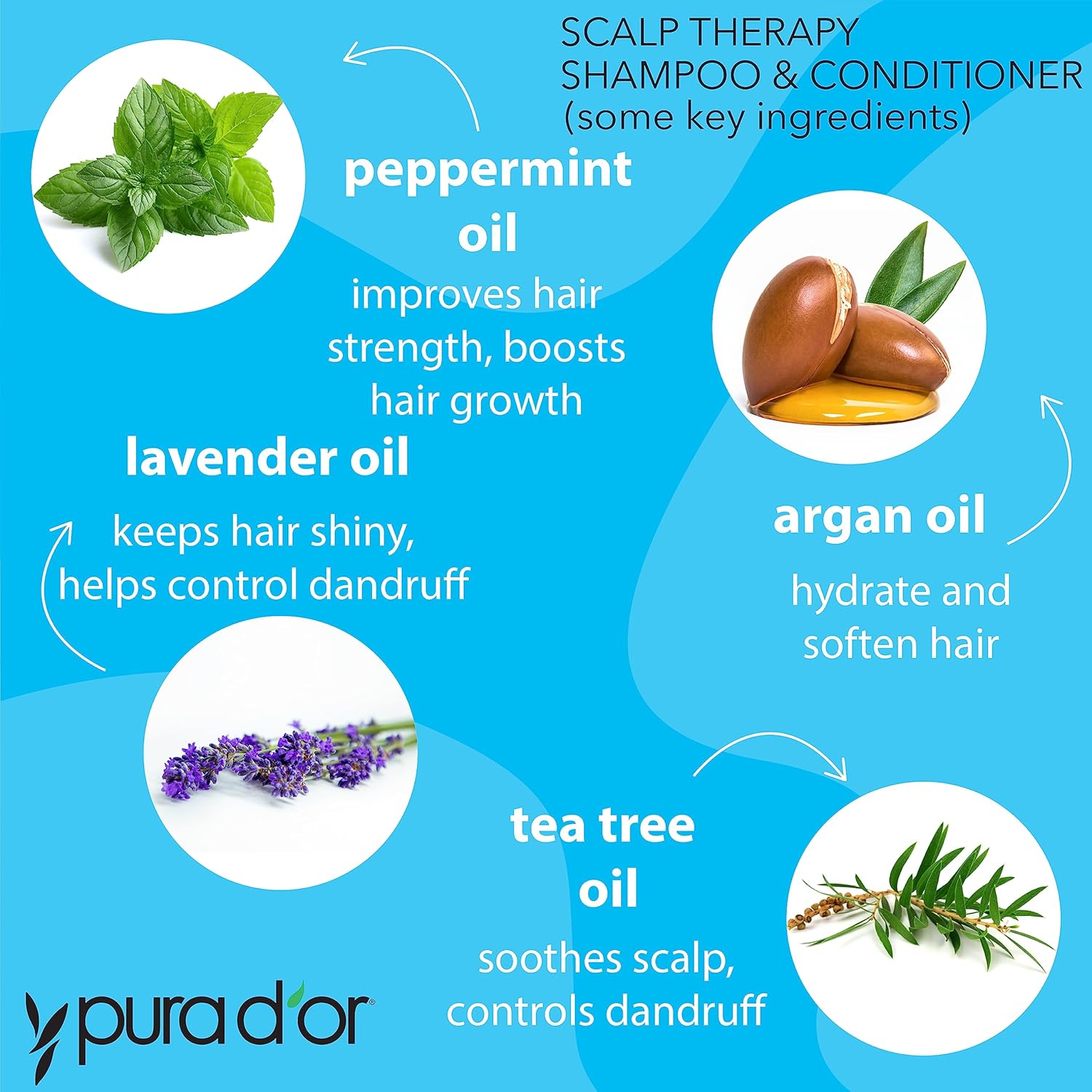 Highlights the key natural ingredients and their respective benefits for hair and scalp health in the shampoo and conditioner product.